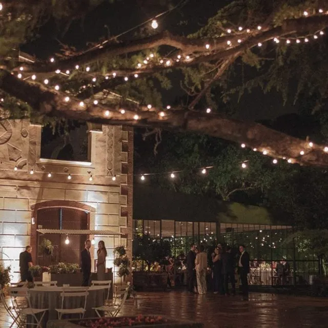 Jardín de La Centenària de noche, con guirnaldas de luces