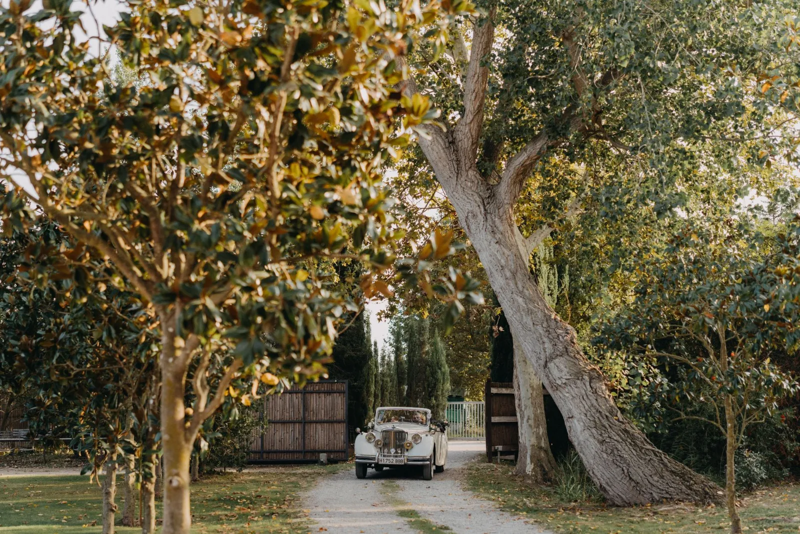 Coche clásico de los novios